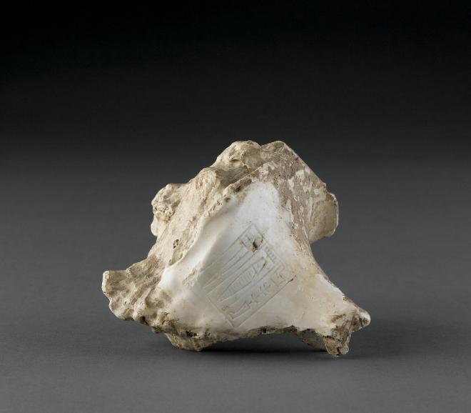 AO 21404, fragmentary murex shell, Musée du Louvre, Paris.